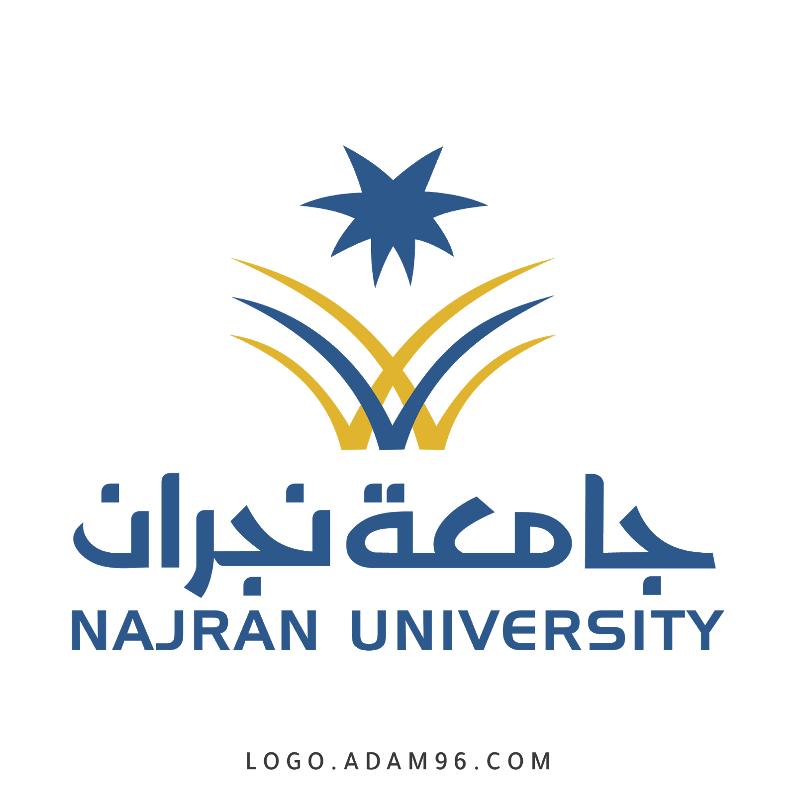 55. جامعة نجران